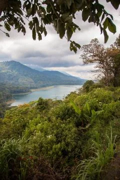 Bali Highlands Vertical Stock Photos