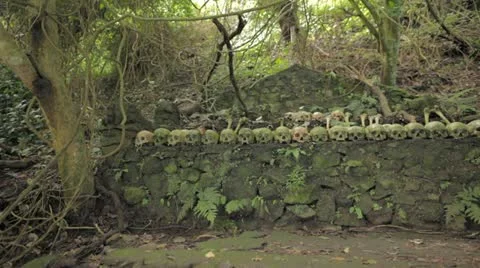 Bali Indo burial ground Video stock 11832883