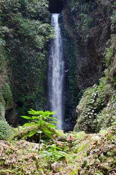 Bali, Indonesia, fall Git-Git Фото