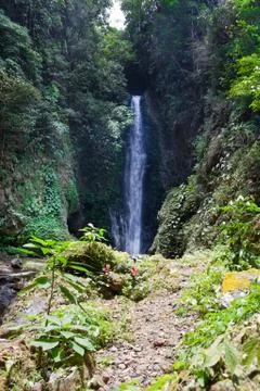 Bali, Indonesia, fall Git-Git Фото