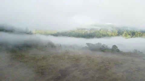 Bali, Indonesia Stock Footage 199105009