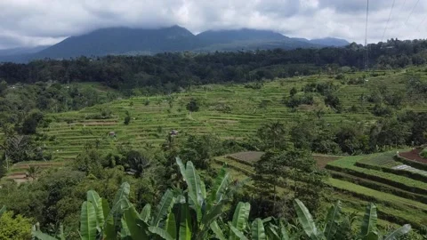 BALI INDONESIA Stock Footage 214602661