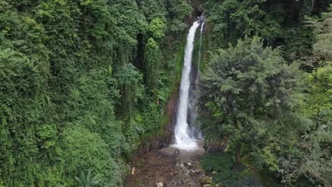 Bali Indonesia Git Git waterfall Drone view 動画素材 214603139