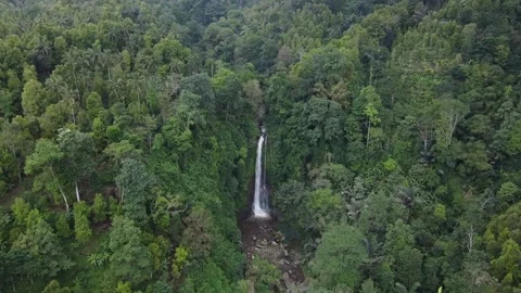 Bali Indonesia Git Git waterfall Drone view Stock Footage 214603267