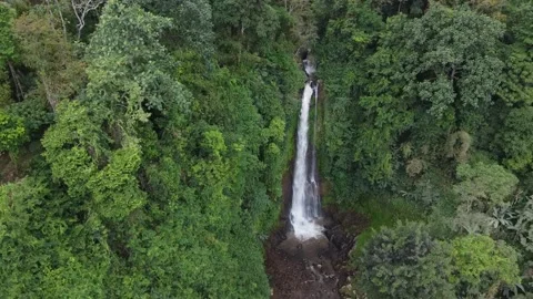 Bali Indonesia Git Git waterfall Drone view Stock Footage 214603454
