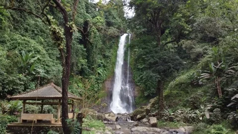 Bali Indonesia Git Git waterfall Drone view 動画素材 214603545