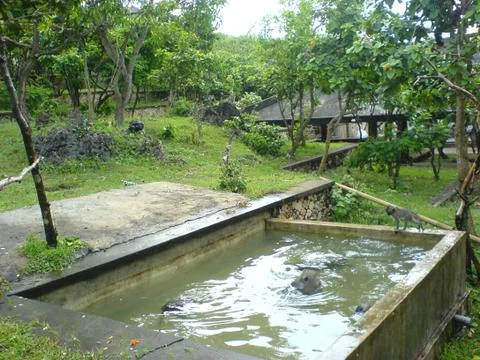 Bali Indonesia Stock Photos