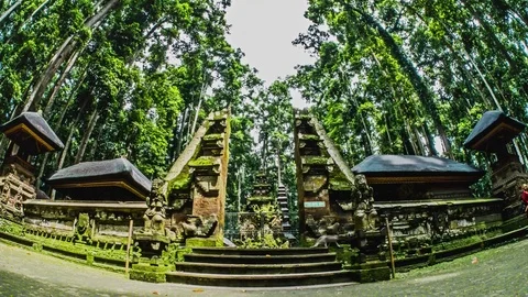 Bali Indonesia Temple Monkey Forrest Timelapse 4k Stock Footage 70449381