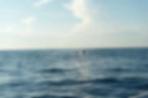 Bali Indonesia Travel theme blur background Stock-Fotos