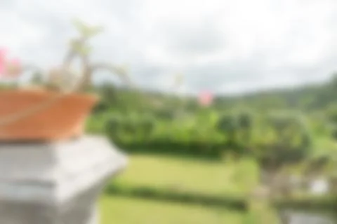 Bali Indonesia Travel theme blur background 스톡 사진