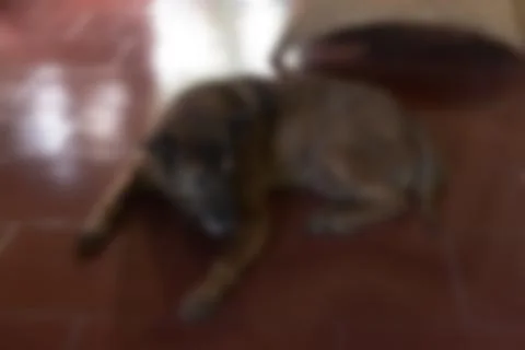 Bali Indonesia Travel theme blur background Foto stock