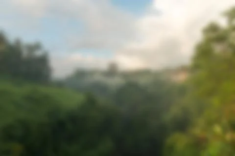 Bali Indonesia Travel theme blur background Stock Photos