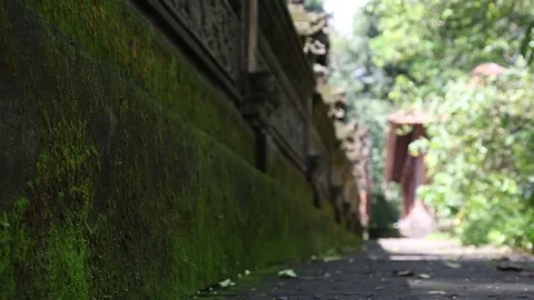 Bali Island Stock Footage 81291512