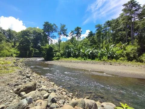 Bali Island Stock Photos