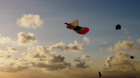 Bali Kites Sunset Video stock 261160100