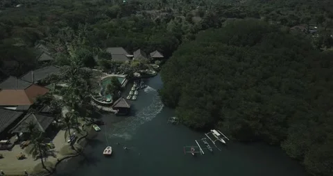 Bali menjangan Stock-Footage 219014897
