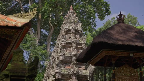 Bali Monkey Forest Temple Balinese Stock Footage 279823008