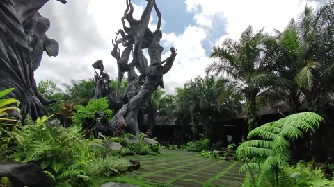 Bali Paradise on Earth 動画素材 242017366