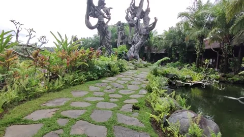 Bali Paradise on Earth 動画素材 242017368