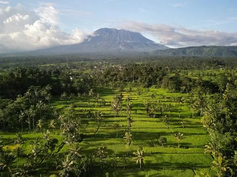 Bali Rice Fields with Mount Agung Volcano Aerial View Stock Photos