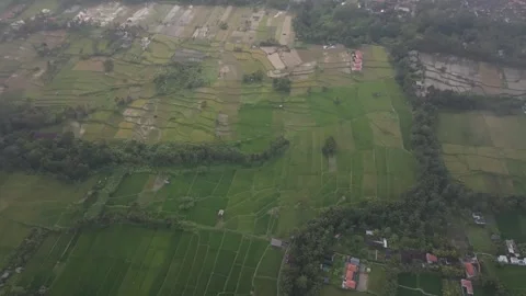 Bali rice fields revealed behind clouds Stock Footage 330841891