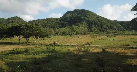 Bali Scooter Through Fields Drone Shot Stock Footage 106235870