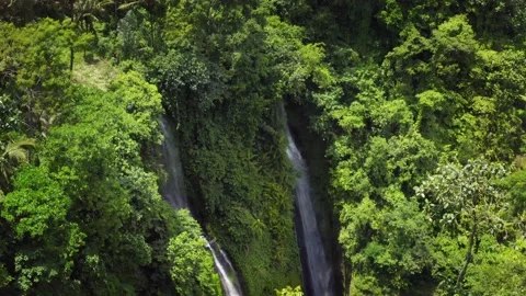 Bali Sekumpul Waterfall 動画素材 137821066