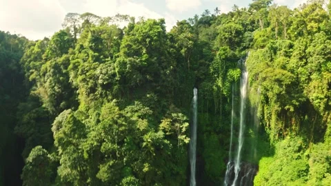 Bali Sekumpul waterfall Stock-Footage 245142486