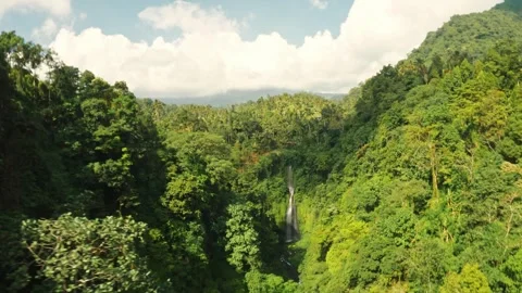 Bali Sekumpul waterfall Stock-Footage 245144593