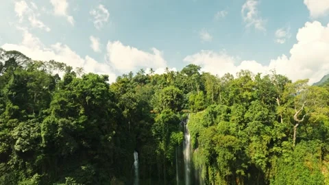 Bali Sekumpul waterfall Stock-Footage 245144653