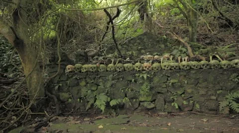 Bali Skulls Stock Footage 11832816