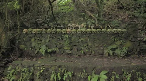 Bali Skulls wide Stock Footage 11832839