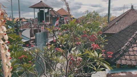 Bali Streets Stock Footage 277594797