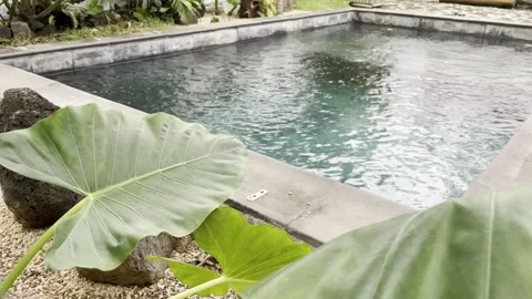 Bali style pool view through a lush green garden 스톡 동영상 274652262