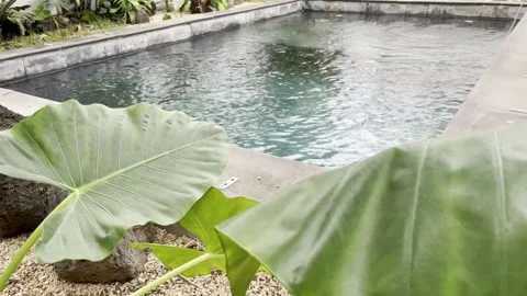 Bali style pool view through a lush green garden 스톡 동영상 274652283
