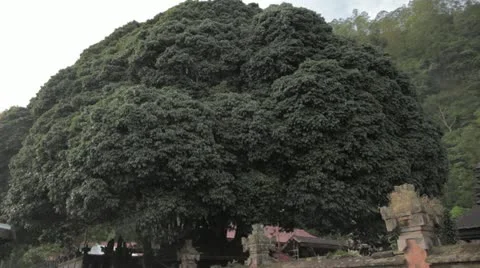 Bali Temple Stock Footage 11850203