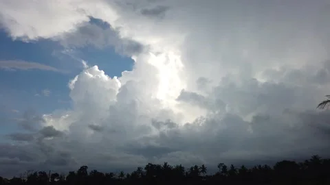 Bali time-lapse big clouds float on blue sky above paddy field, palm trees Video stock 141122201