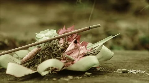 Bali traditions Stock Footage 44474875