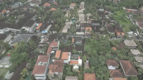 Bali Ubud Bisma Stock Footage 238535394