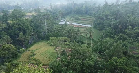 Bali Volcano Through the Mist Drone Shot Stock Footage 106236231