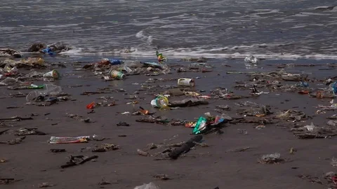 Bali waste Stock Footage 85505011