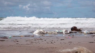 Bali waste Stock Footage 85505127