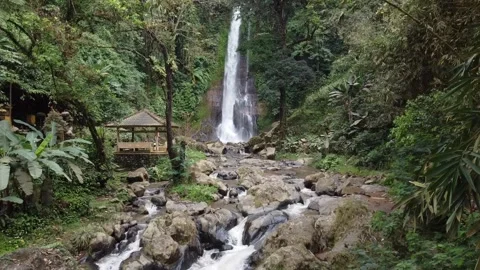 Bali waterfall Drone view 動画素材 214603469