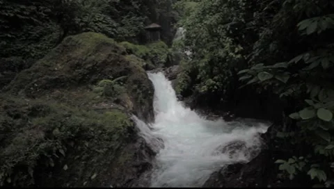 Bali waterfall Stock Footage 8824956