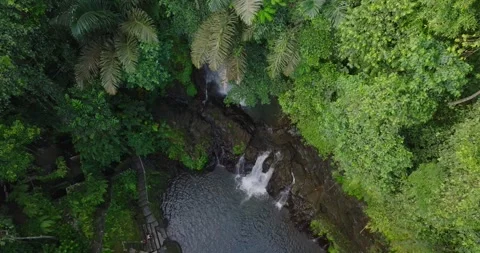 Bali waterfall Stock Footage 246820695