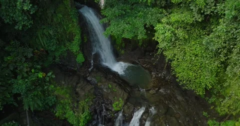 Bali waterfall Stock Footage 246820714