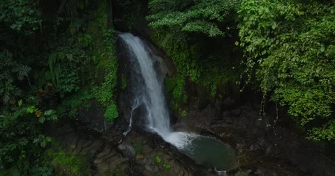 Bali waterfall Stock Footage 246820743