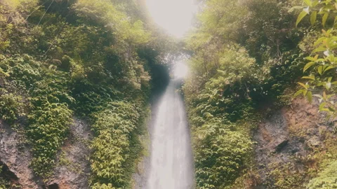 Bali Waterfall Stock Footage 277594584