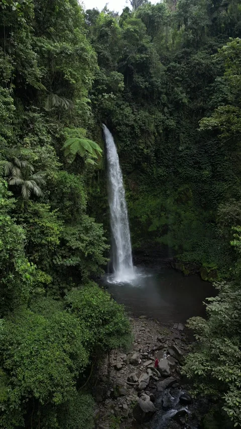Bali waterfall Video stock 294662645