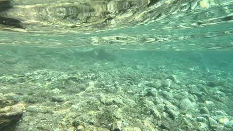 Baliklar05 Stock Footage 332645745